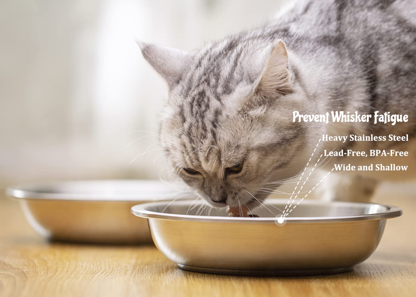 Cuenco BiteKing para gatos, acero inoxidable 18-8, resistente y fácil de desinfectar.