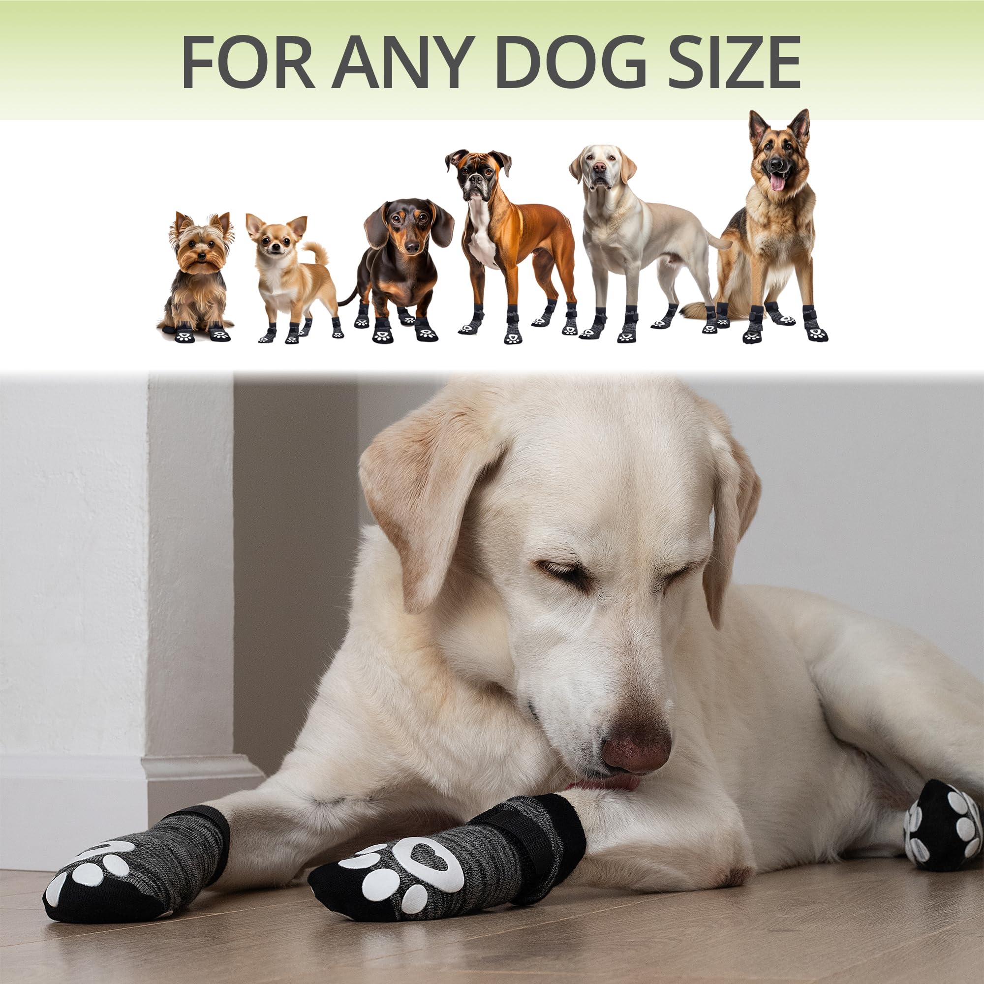Uso diario cómodo con ajuste flexible para perros