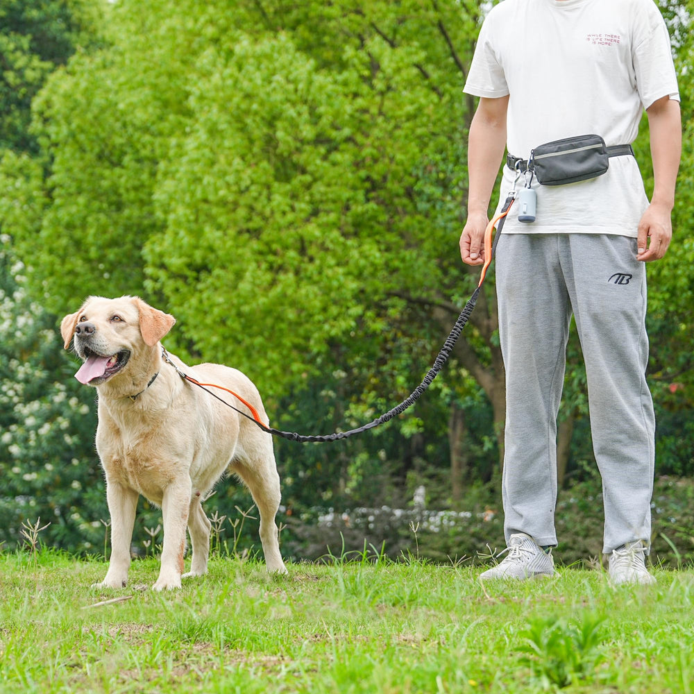 Dispensador de bolsas integrado BJDQHKJ para paseos prácticos