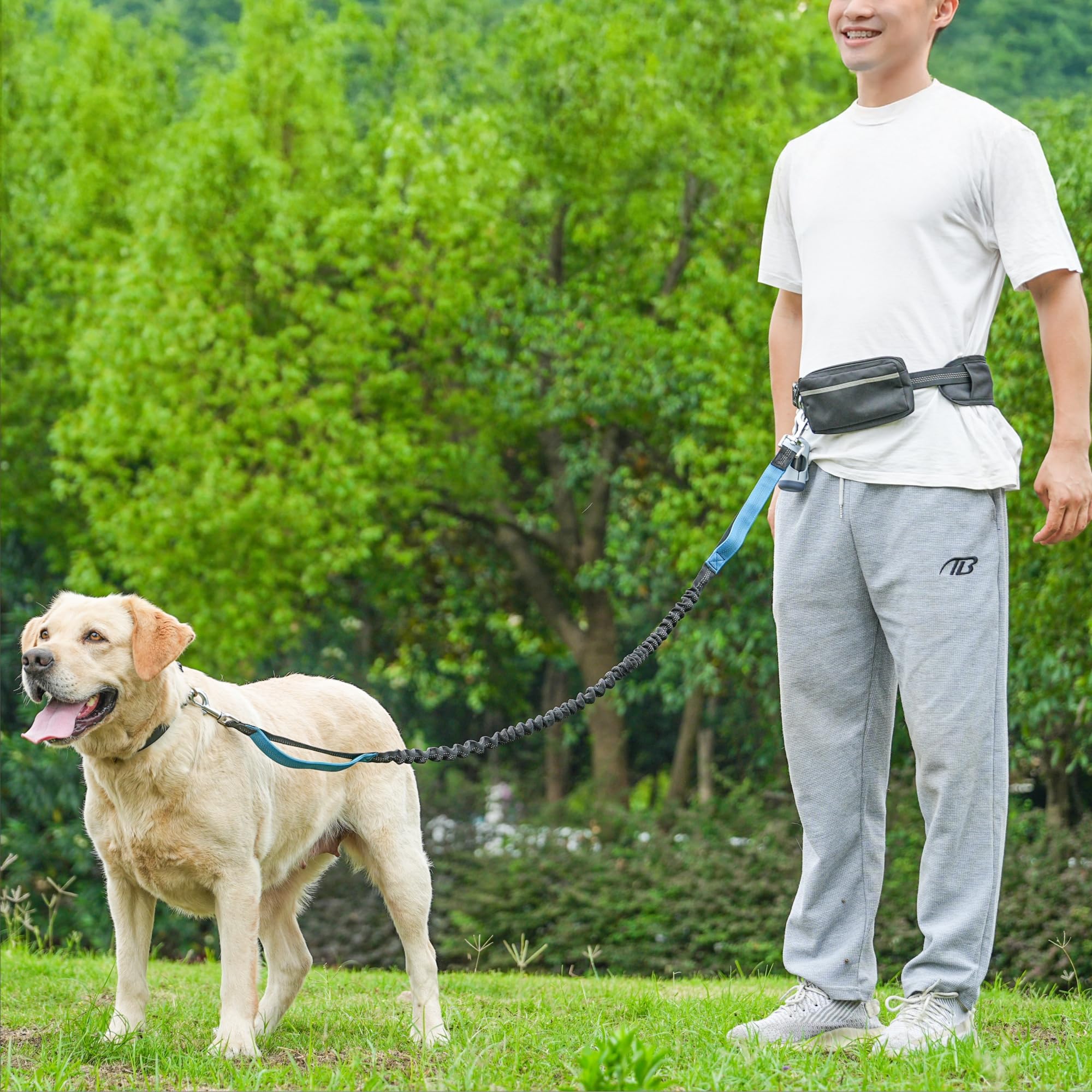BJDQHKJ dispensador de bolsas para paseos prácticos
