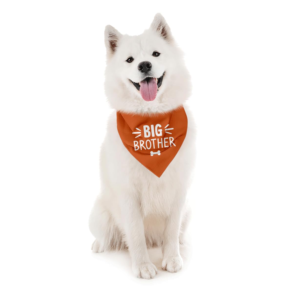 BKDJPC Bandana naranja para perro, uso diario cómodo y seguro.