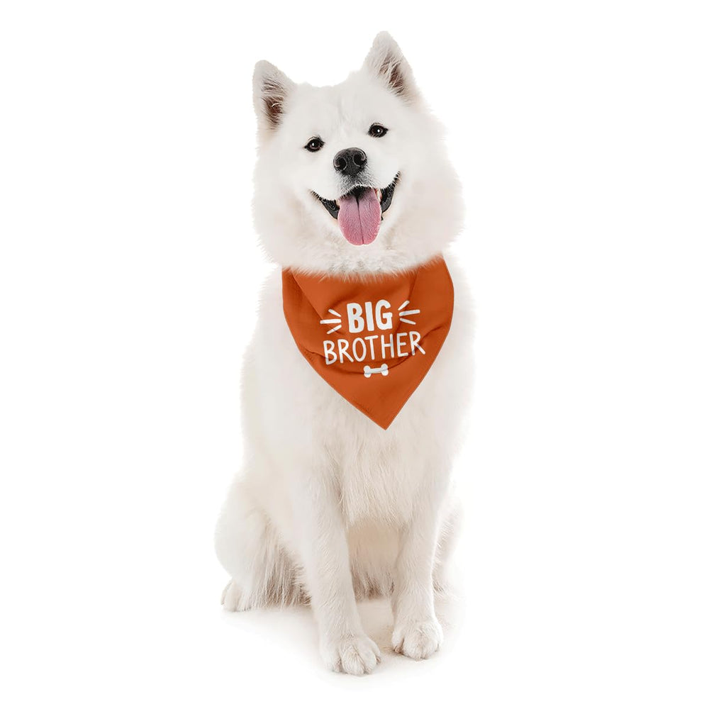 BKDJPC Bandana naranja para perro, uso diario cómodo y seguro.