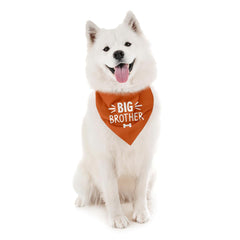 BKDJPC Bandana naranja para perro, uso diario cómodo y seguro.