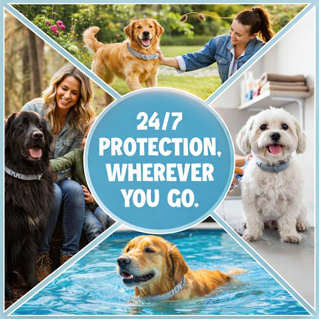 BKRMART protección duradera sin olores fuertes para la piel del perro.
