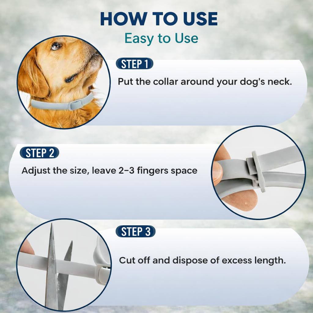 BKRMART incluye herramientas de eliminación de garrapatas y peine antipulgas.