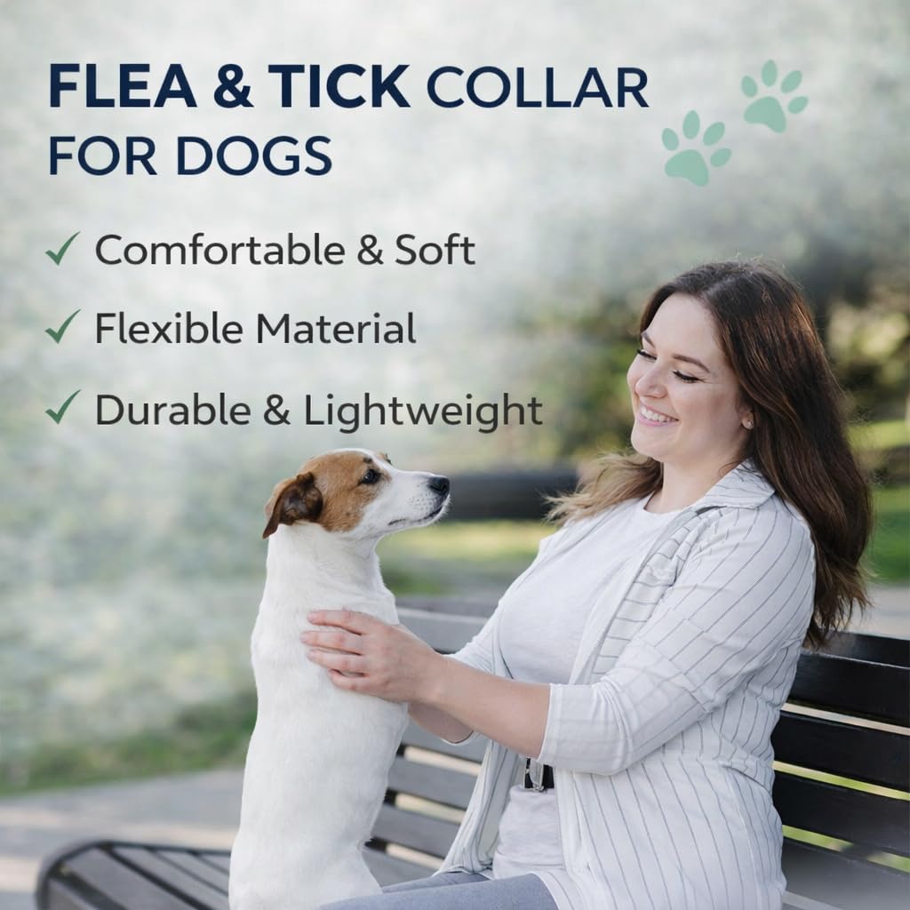 BKRMART collar práctico para paseos y juego al exterior.