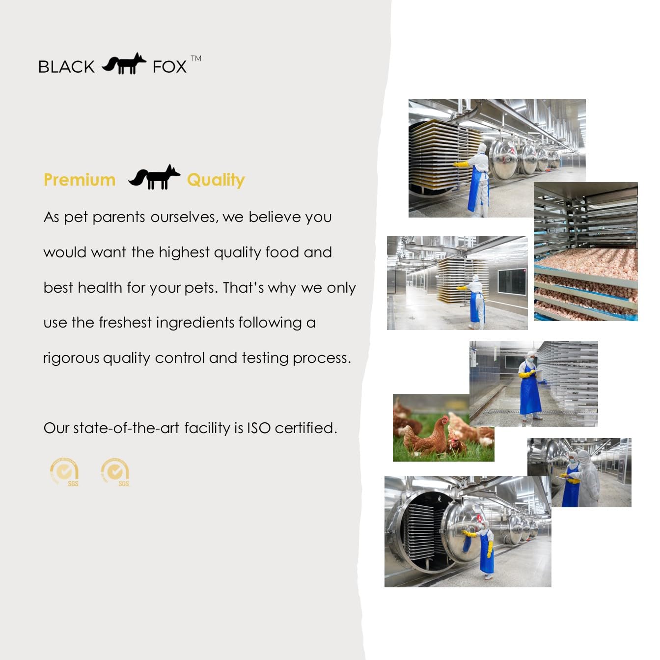 BLACK FOX apoyo digestivo, uso moderado para perros y gatos.