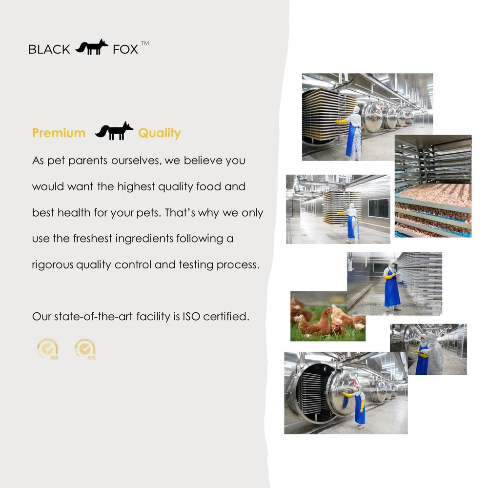 BLACK FOX apoyo digestivo, uso moderado para perros y gatos.