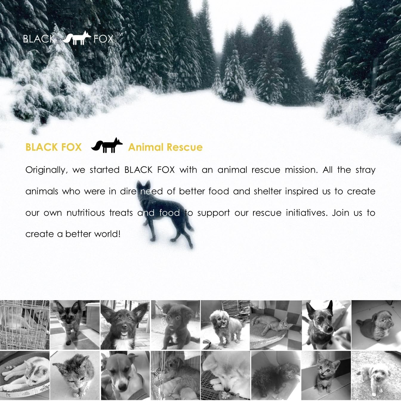 BLACK FOX sin preservantes ni aditivos, opción natural para la dieta.