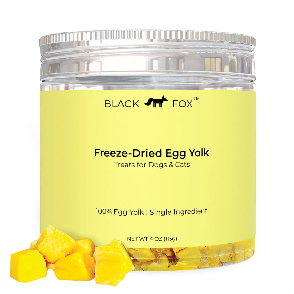BLACK FOX yema de huevo liofilizada para perros y gatos, sabor y nutrientes.