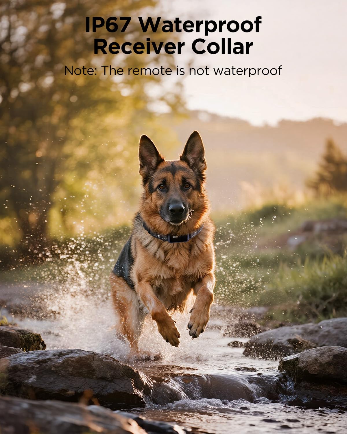 Blackdog collar con alcance de 4200 pies para entrenamiento al aire libre