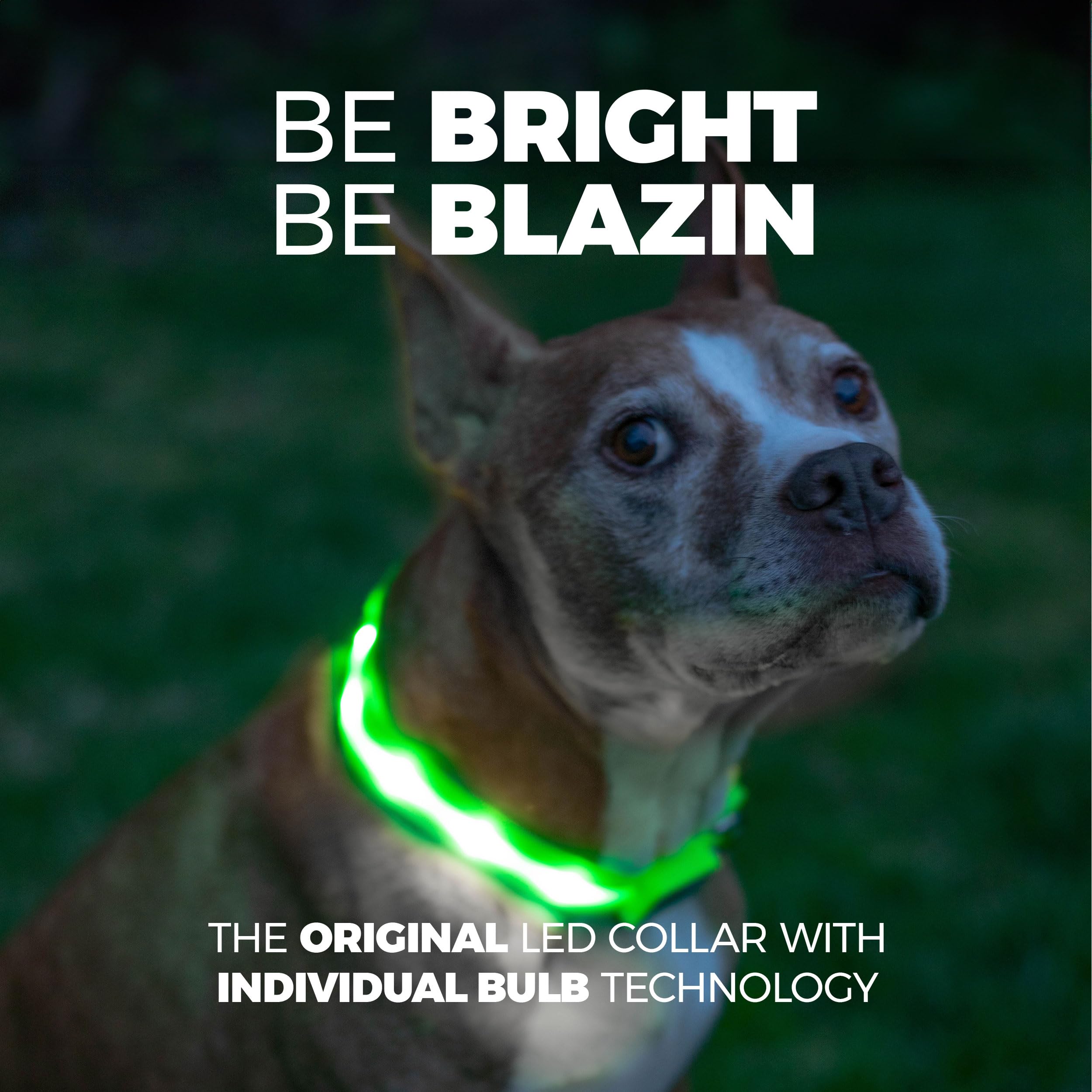 Blazin collar perro recargable USB, carga rápida y conveniente