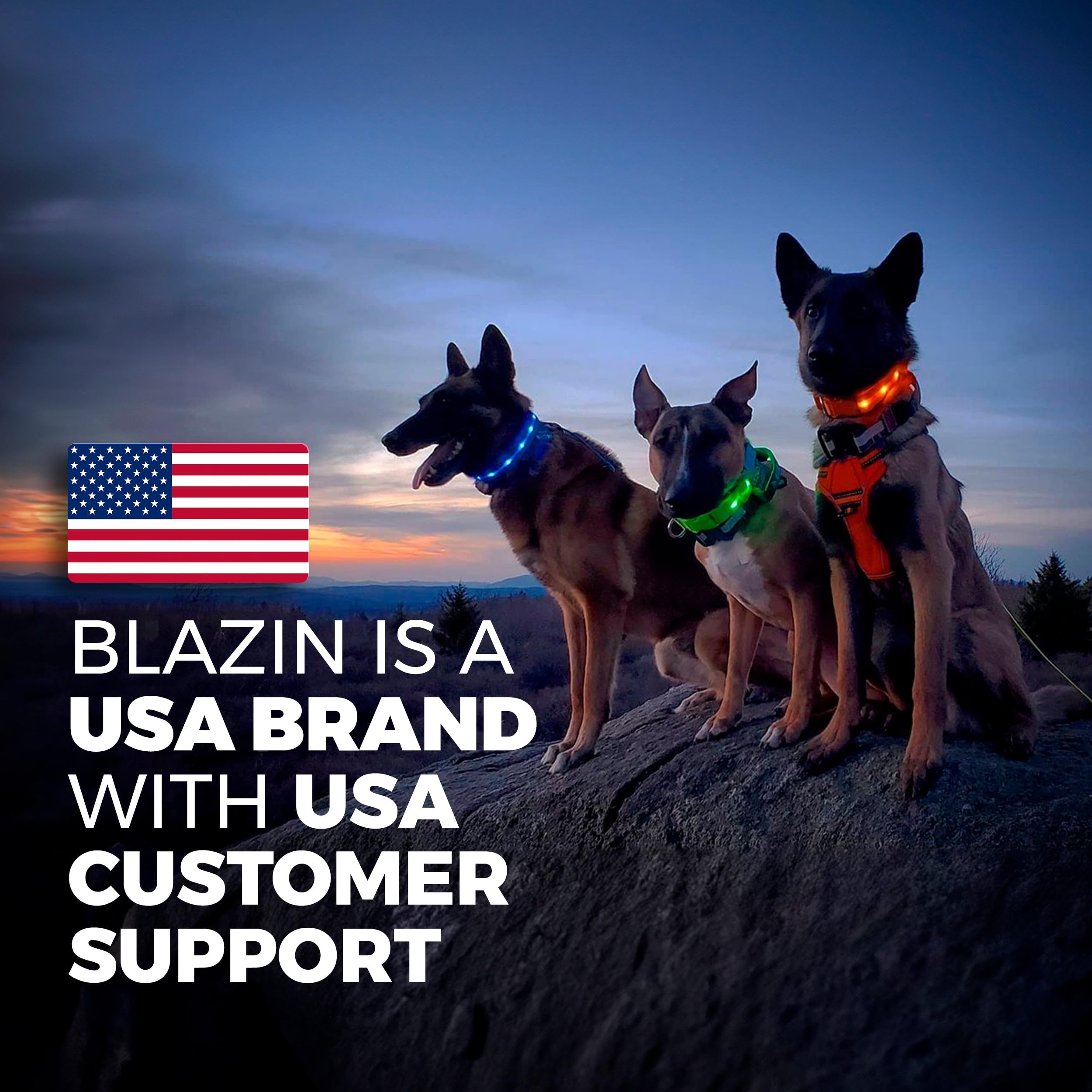 Collar Blazin talla M para perros grandes, visibilidad nocturna.