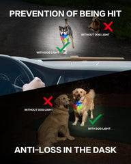 BLBS collar de perro con 4 modos para caminar de noche