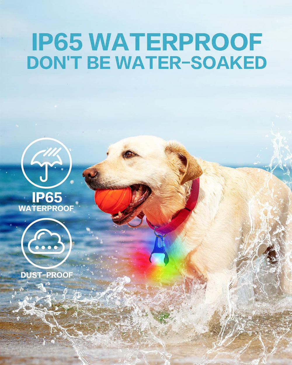 BLBS luz para perros, resistente al agua IP65