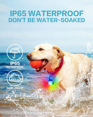 BLBS luz para perros, resistente al agua IP65