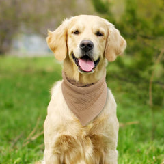 Bl BlissBud bandana para uso diario, estilo y comodidad en un accesorio