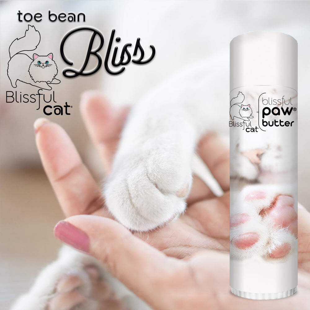 Cuidado diario de las patas de gato con Blissful Dog.
