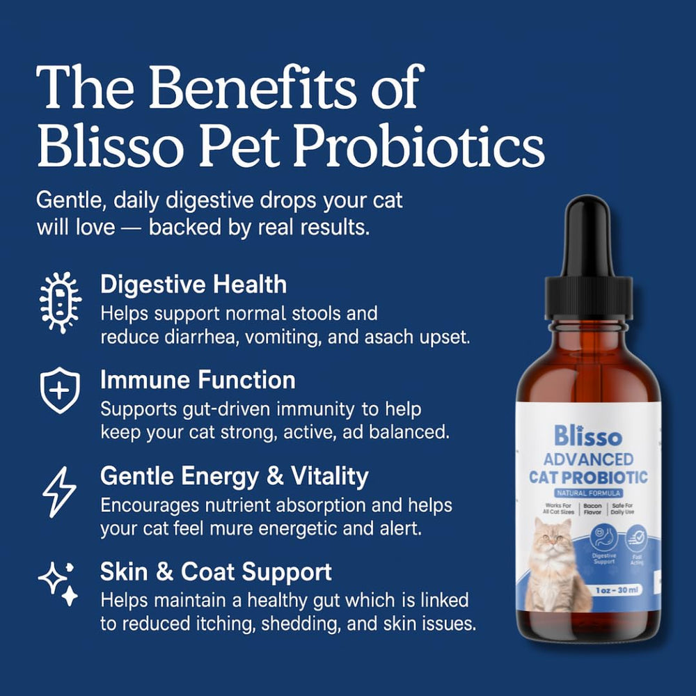 Blisso Gotas Probióticas Avanzadas para Gatos, cuentagotas, fácil de administrar para apoyar la flora intestinal.
