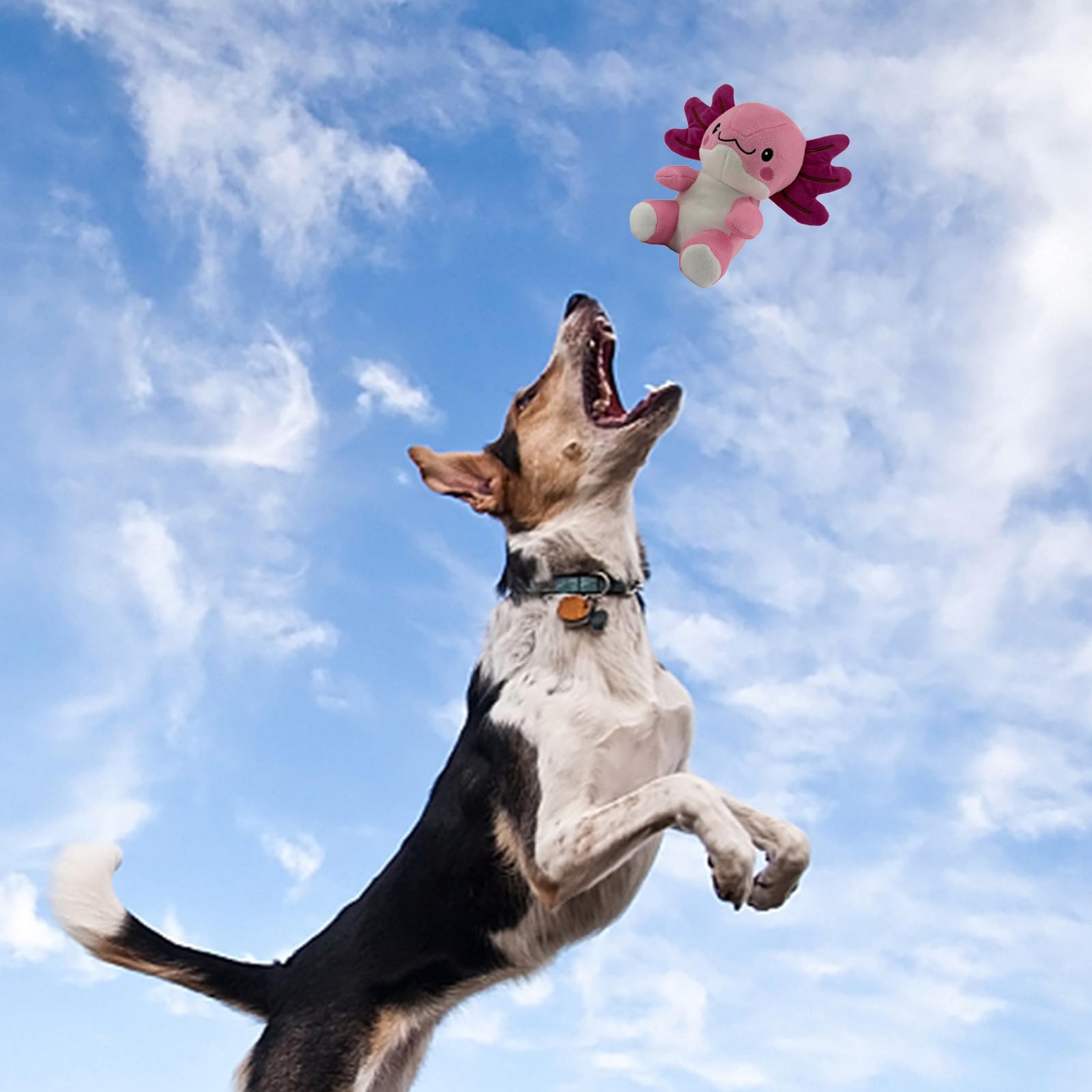 Juguete duradero para perros de varios tamaños y uso diario.