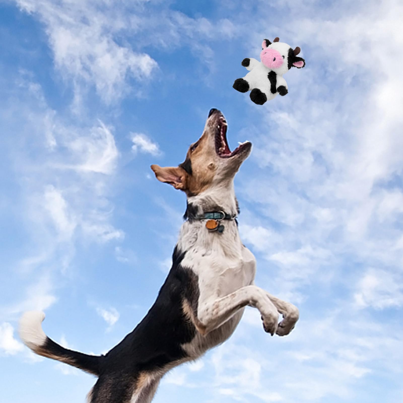 Regalo ideal Blnboimrun para perros, seguro y divertido