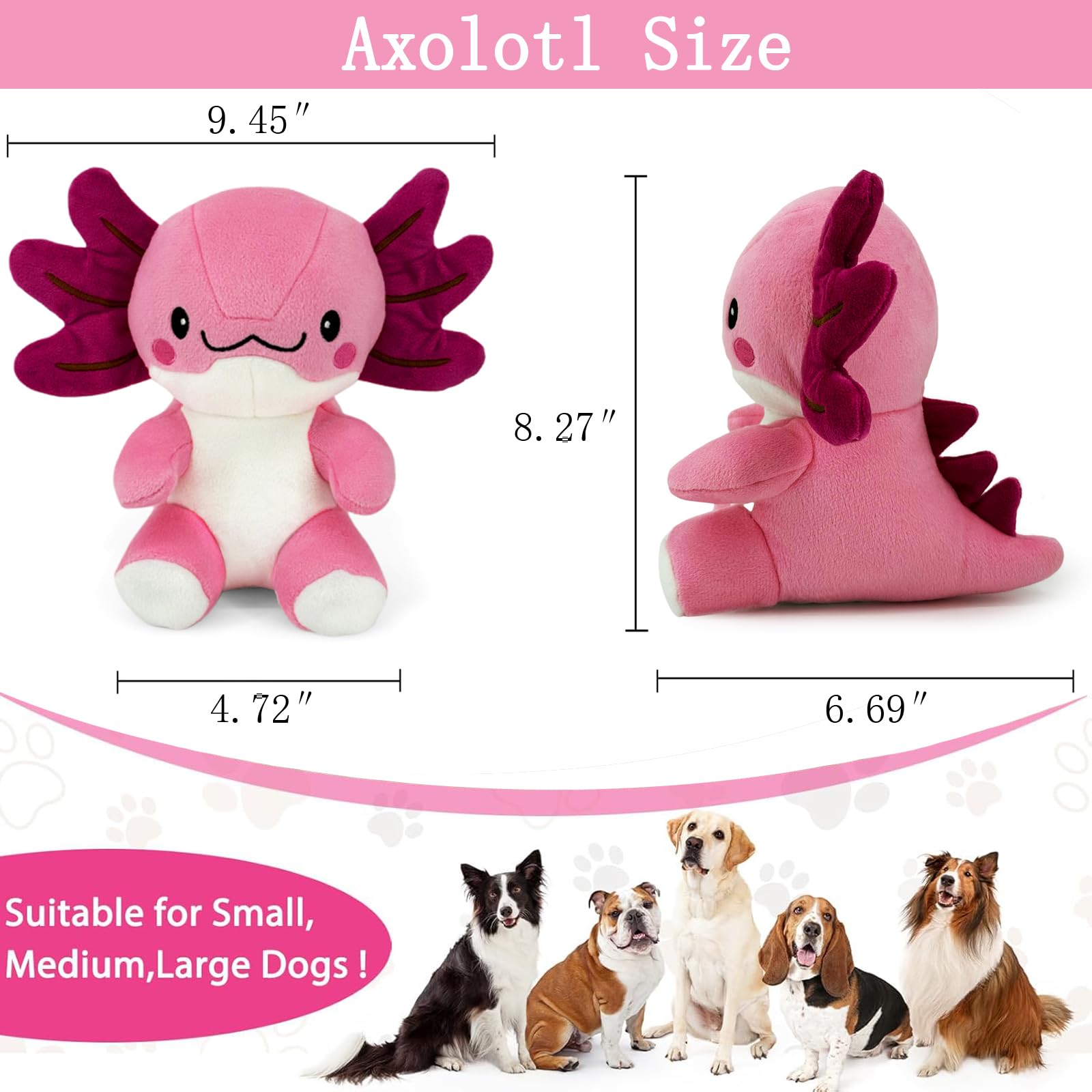 Regalo para amantes de perros, ideal para diversas ocasiones.