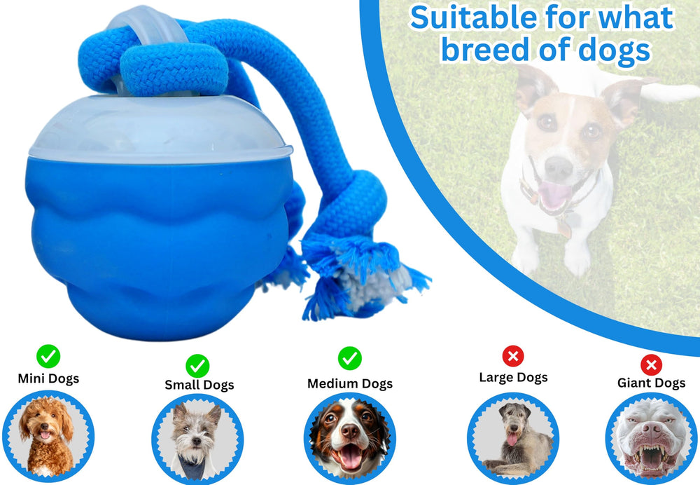 Bloompaw Materiales durables PCTPR para uso diario seguro.