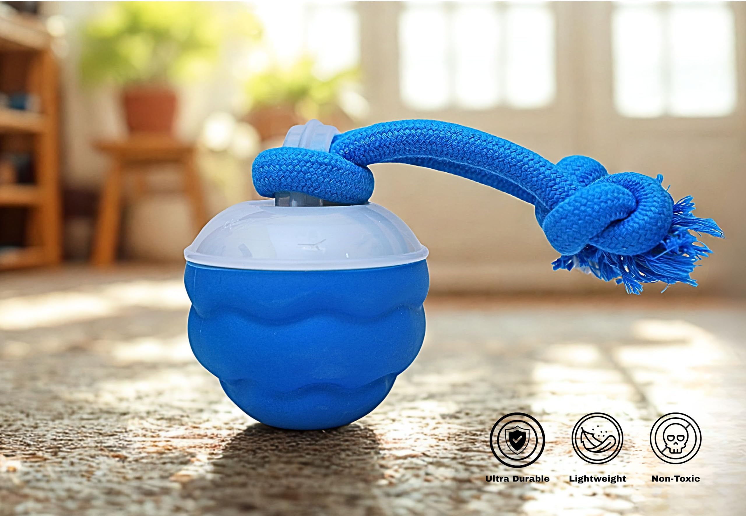 Bloompaw Regalo ideal para amantes de perros y sus mascotas.