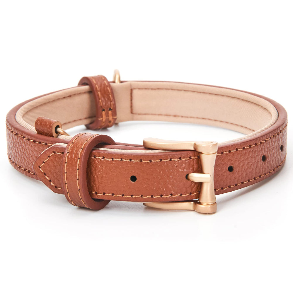 blu&ben collar de cuero acolchado para paseos cómodos