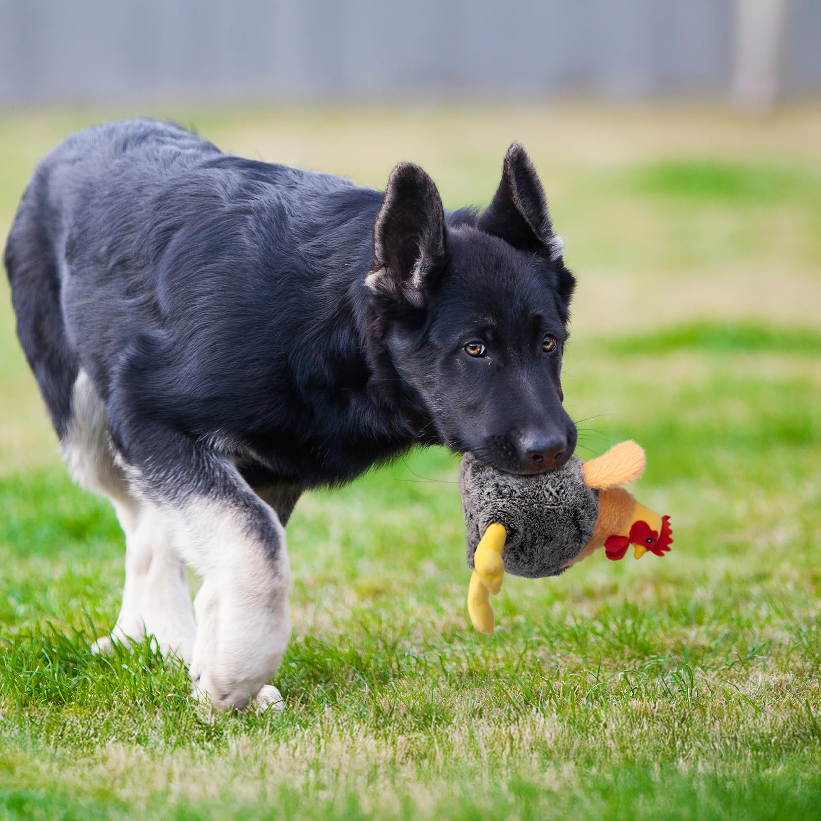 BluBrk regalo perfecto para cachorros y amantes de juguetes divertidos.