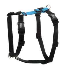 Arnés Blue-9 Balance con ajuste de 6 puntos para un ajuste cómodo y seguro en paseos.