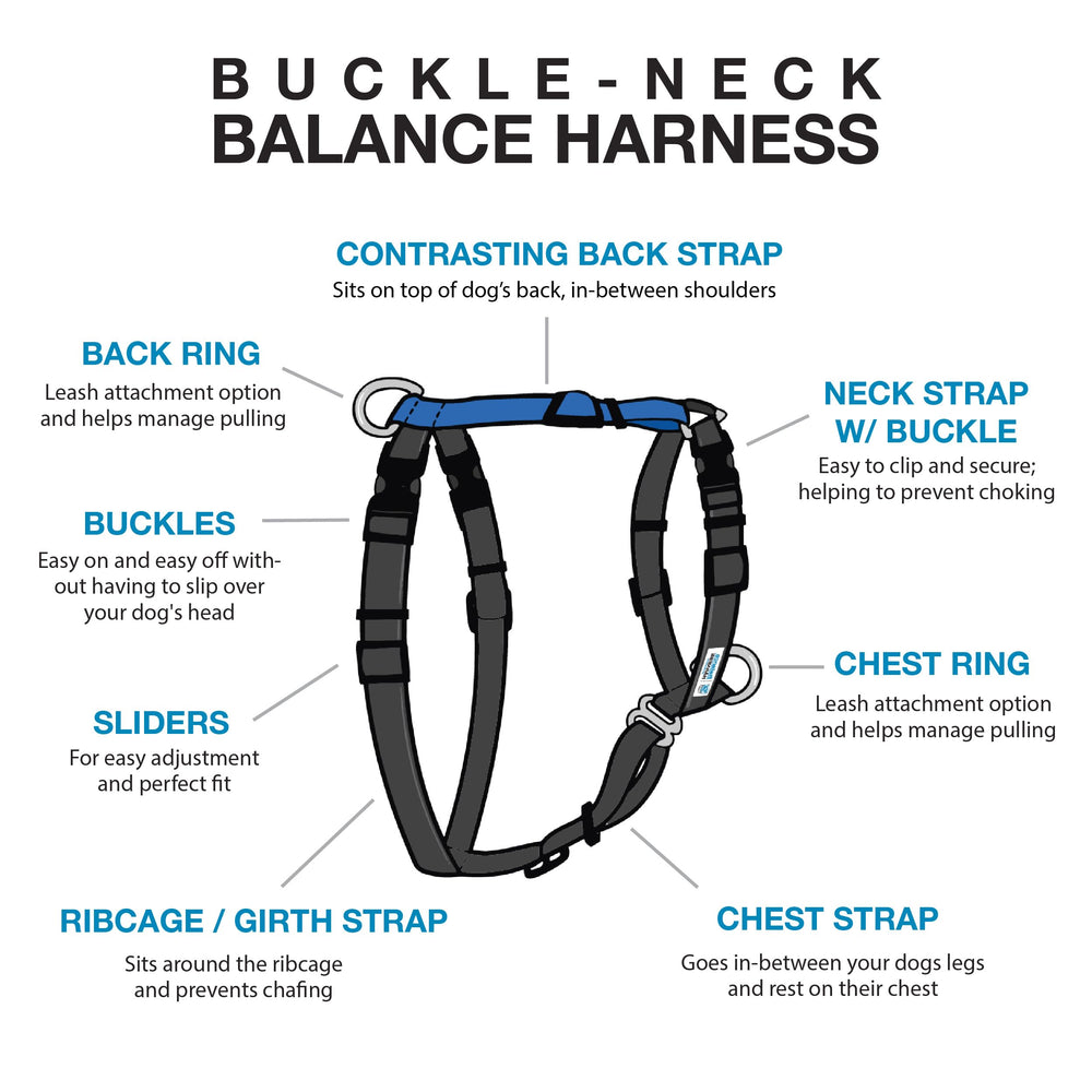 Arnés Blue-9 Balance con clip frontal para perros que evitan pasar la cabeza durante colocación.