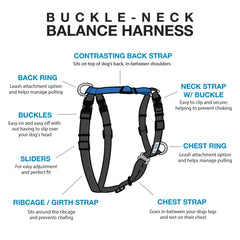 Arnés Blue-9 Balance con clip frontal para perros que evitan pasar la cabeza durante colocación.