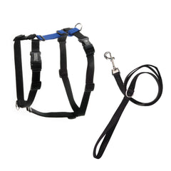 Blue-9 arnés equilibrio con ajuste de seis puntos para comodidad y seguridad.