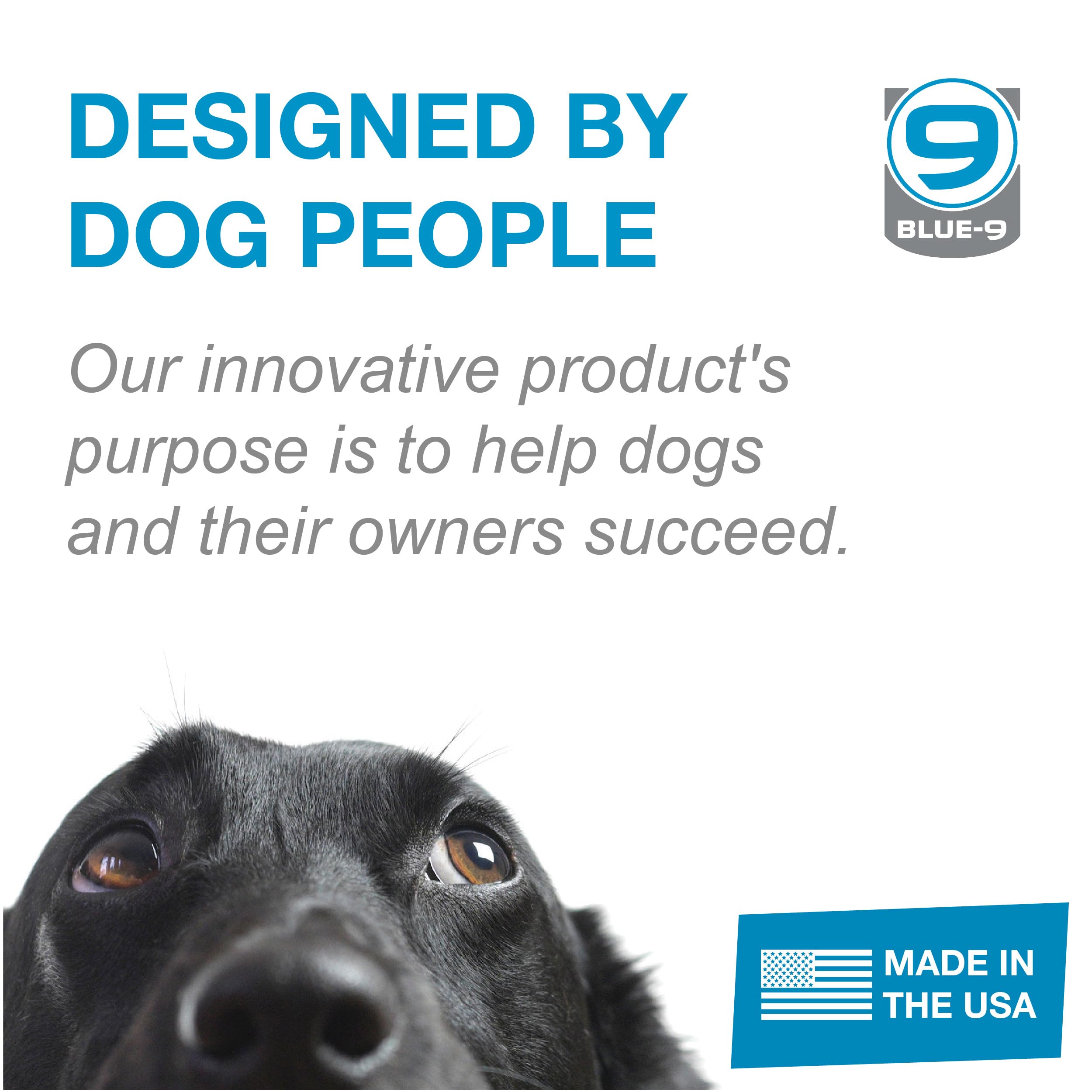 Blue-9 LEAD: ideal para entrenamiento y vida diaria del perro.