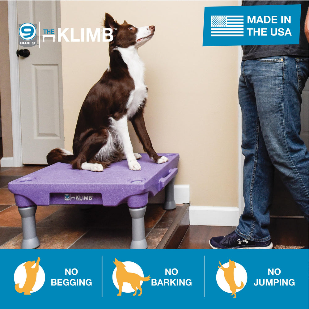 Superficie PawGrip de Blue-9 KLIMB ofrece agarre seguro