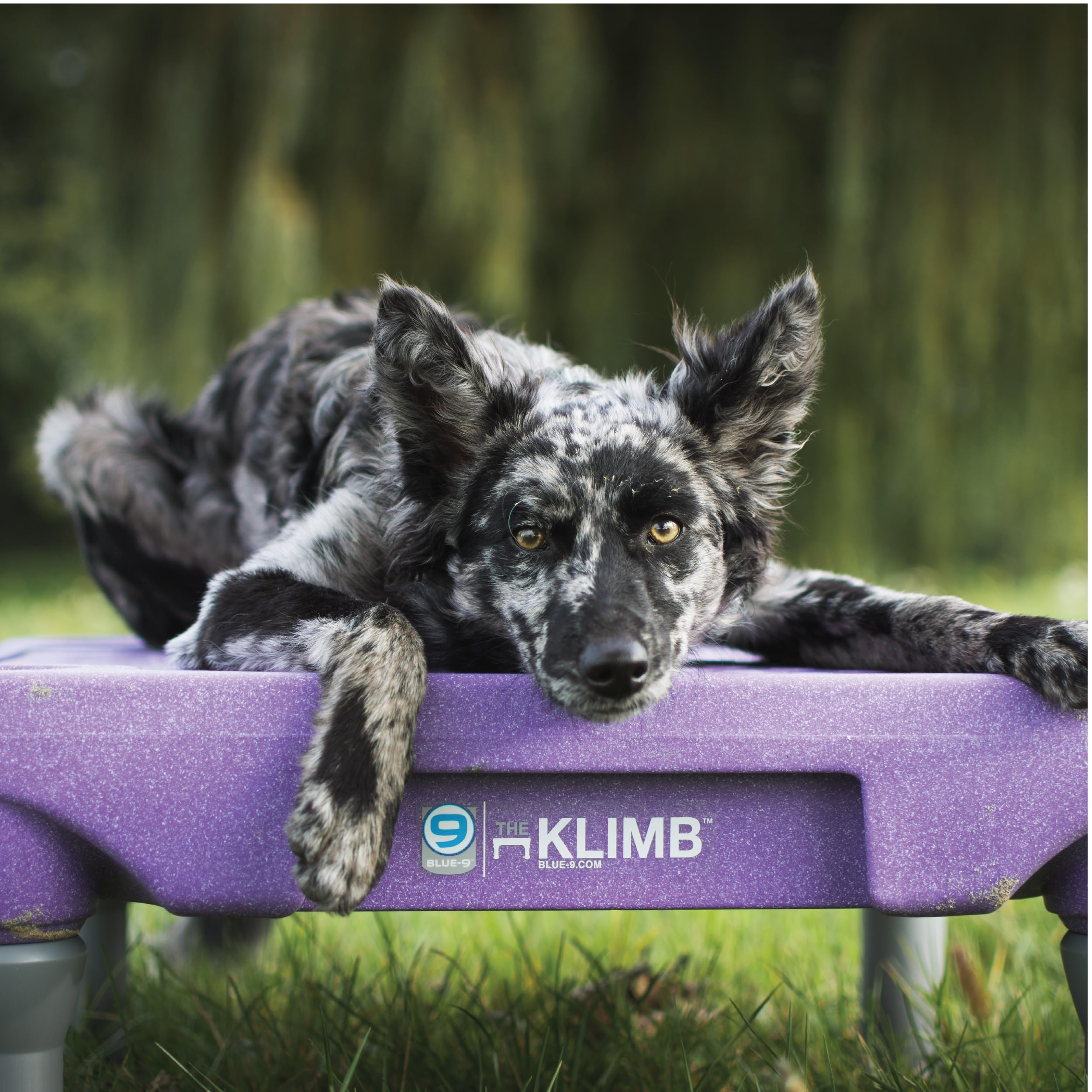 Blue-9 KLIMB tapas de seguridad para montaje y almacenamiento seguro.
