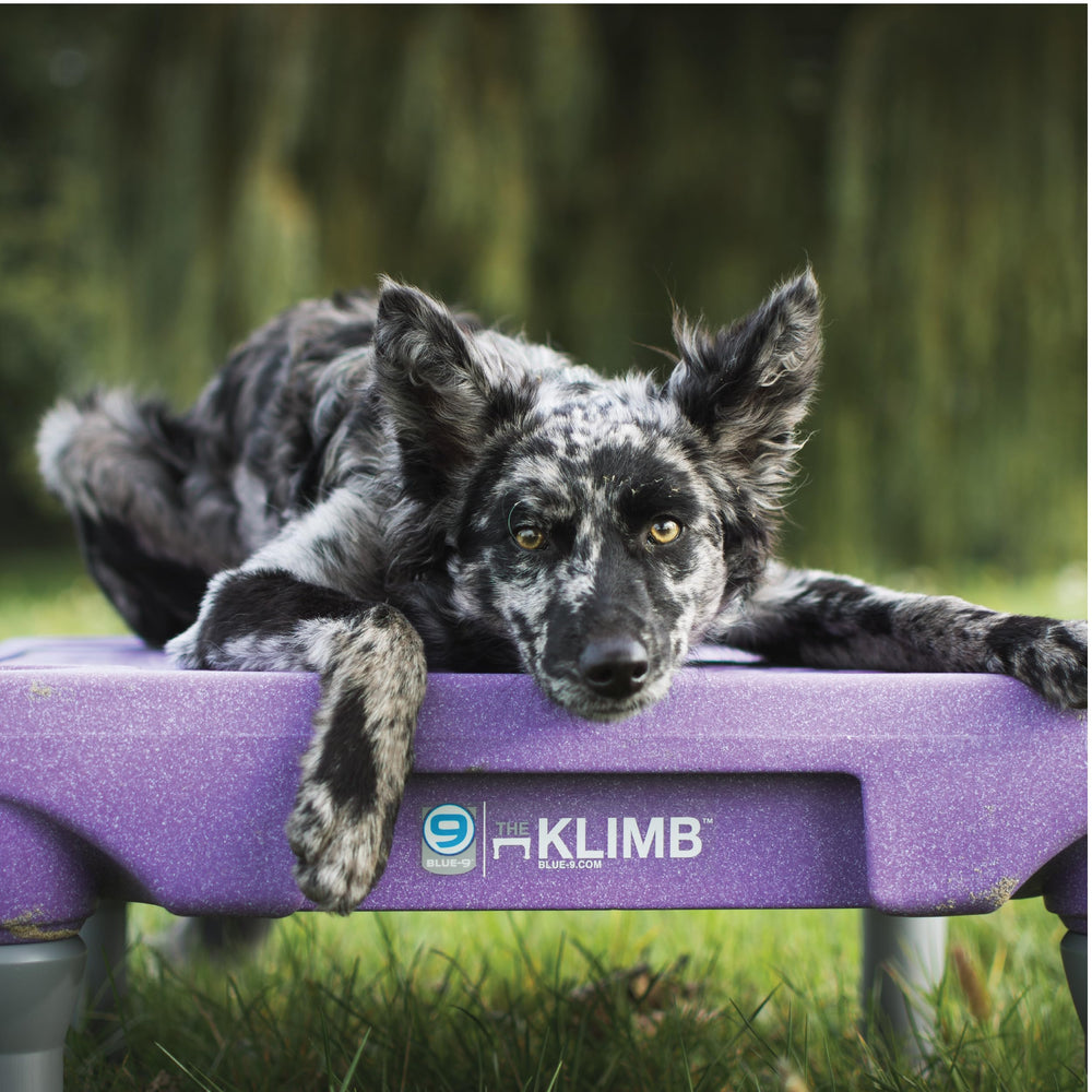 Blue-9 KLIMB tapas de seguridad para montaje y almacenamiento seguro.
