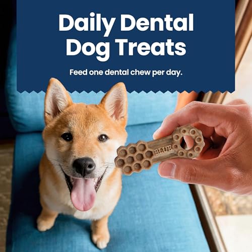 Blue Buffalo Dental Chews uso diario como premio complementario para el cuidado dental.