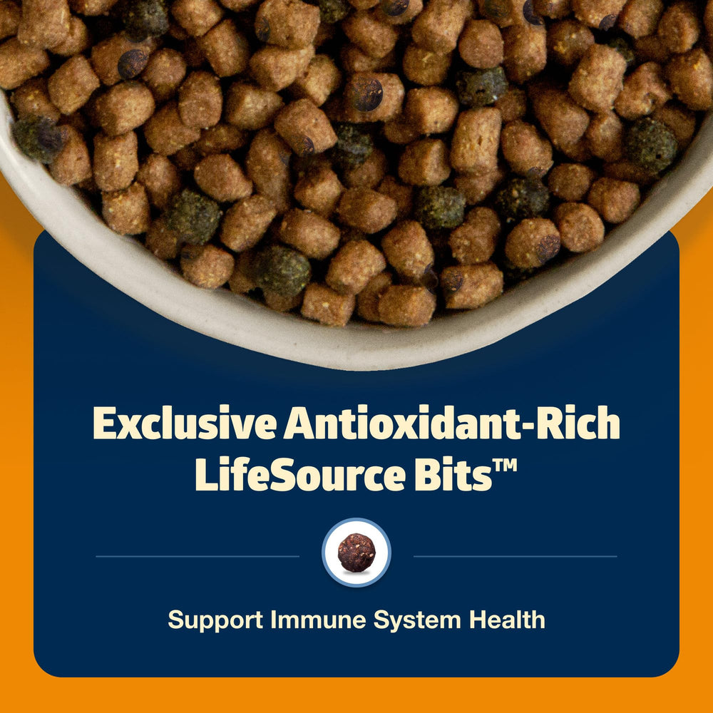 Blue Buffalo Freedom Grain-Free, empaque digital mejorado que resalta ingredientes esenciales.