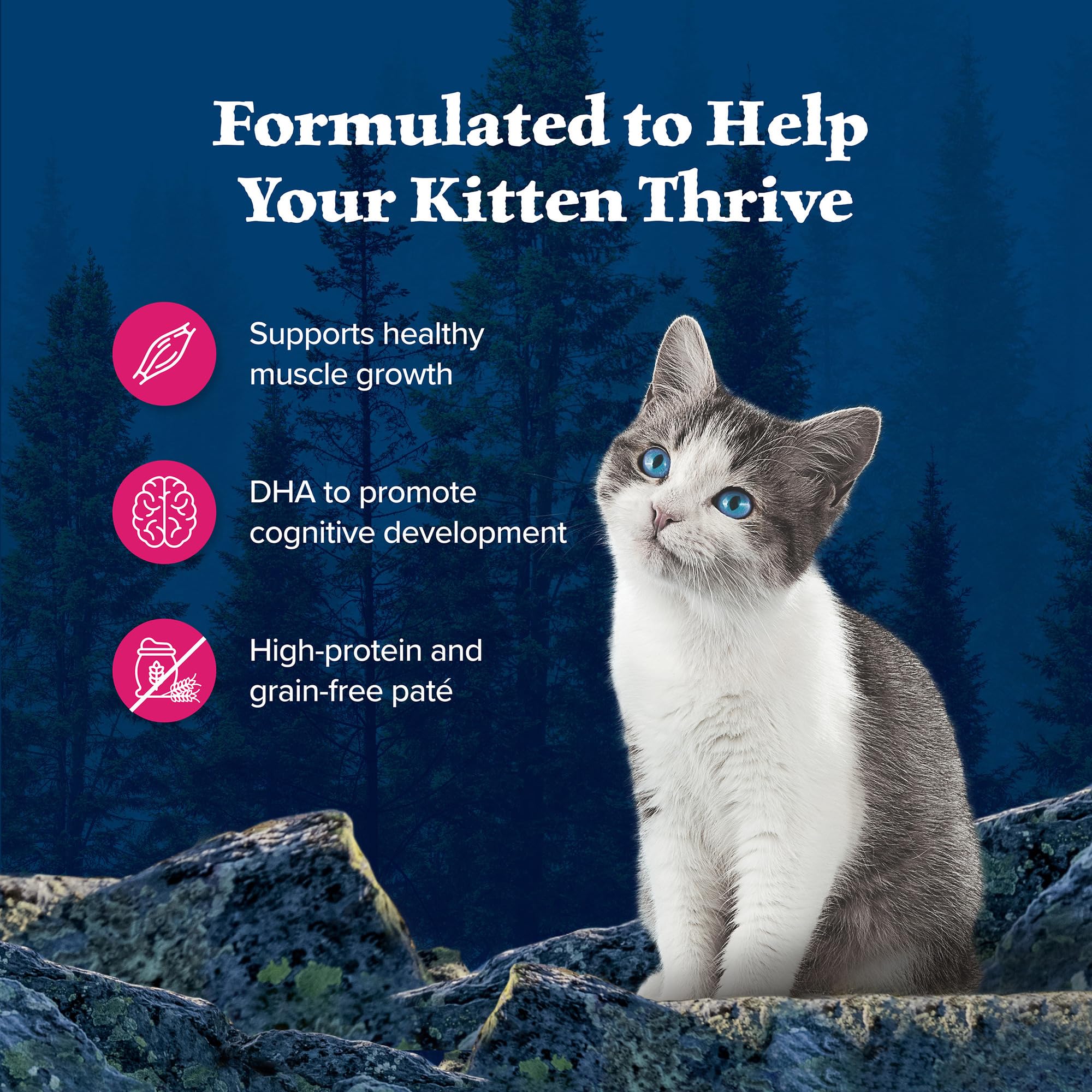 Blue Buffalo Wilderness DHA para desarrollo cognitivo de gatitos