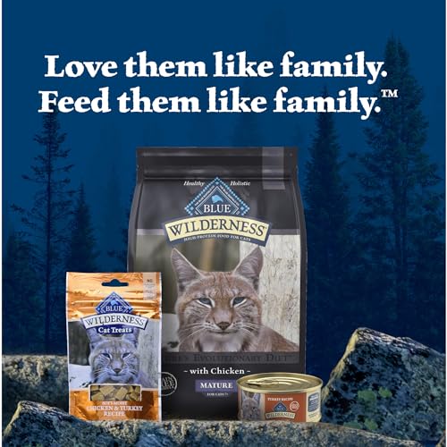 Blue Buffalo Wilderness pate de pavo servido como comida diaria para gatos activos.