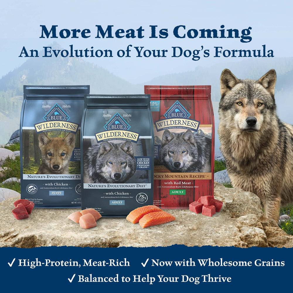 Blue Buffalo Wilderness Salmon granos integrales para energía sostenida