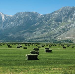 Blue Mountain Hay dental, ayuda a desgaste natural de dientes.