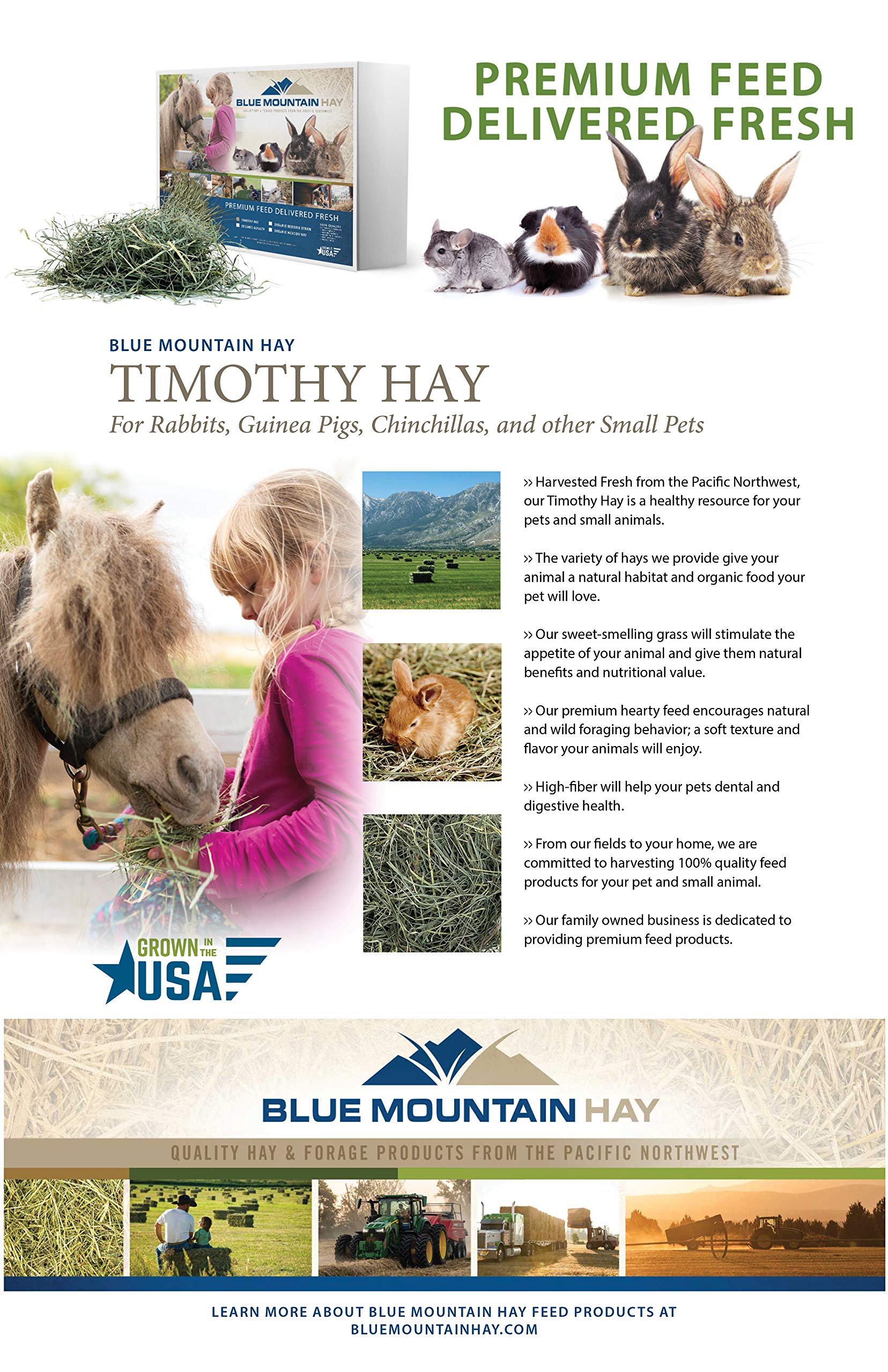Blue Mountain Hay para conejos y cobayas, opción versátil de alimentación.