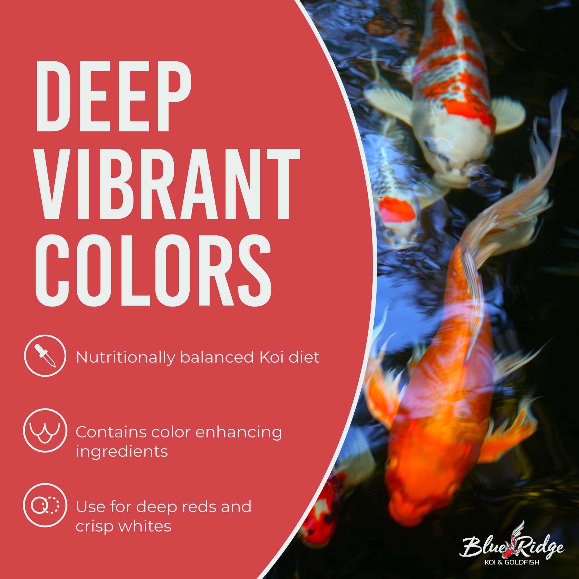 Blue Ridge Koi nutrición equilibrada para koi y goldfish.