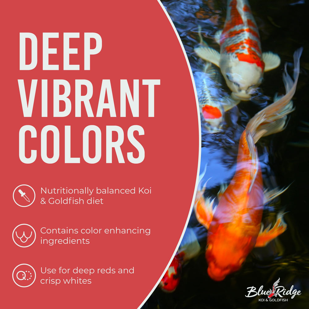 Blue Ridge Koi apoyo inmunidad con vitaminas y minerales.