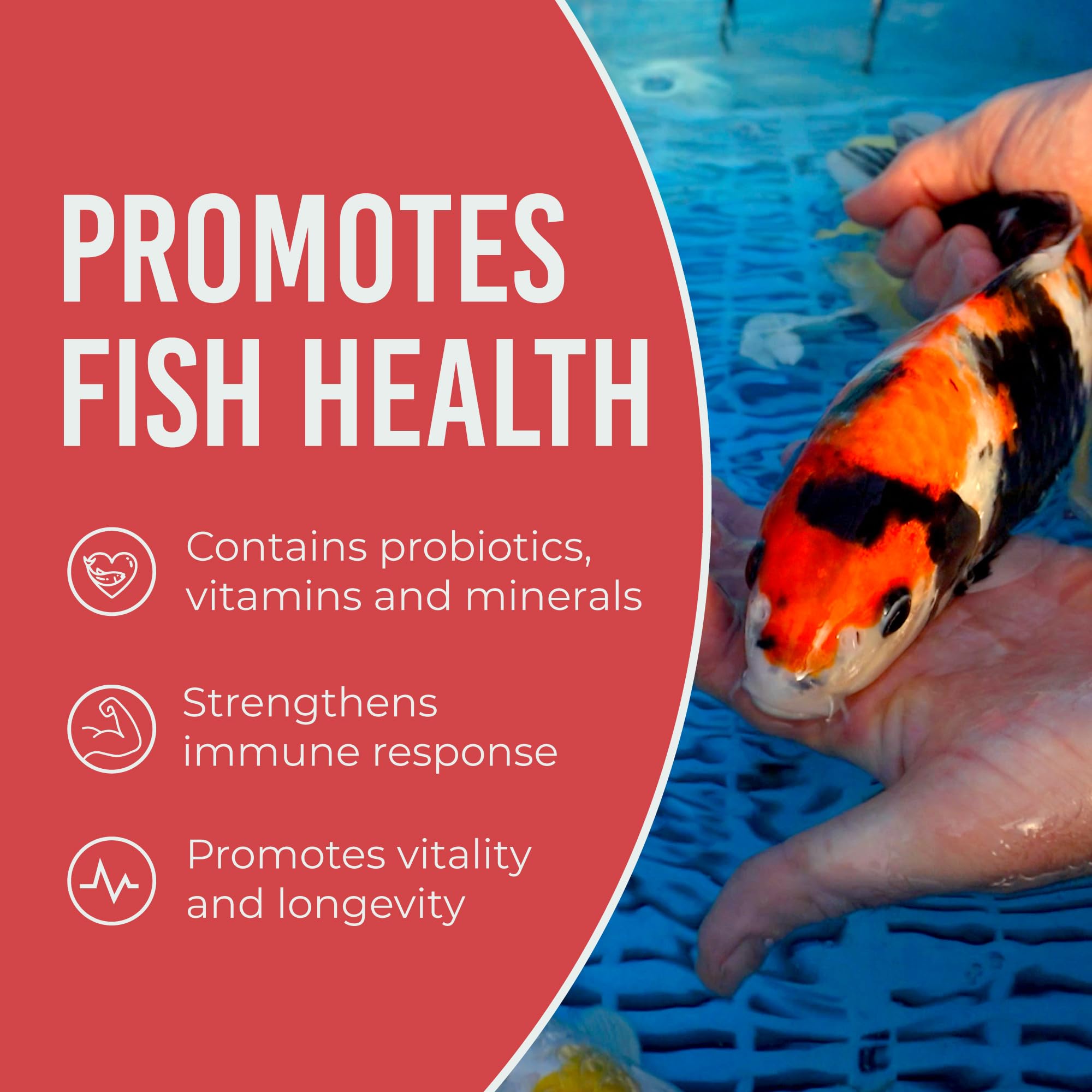 Blue Ridge Koi favorece crecimiento saludable sin contaminar el agua.