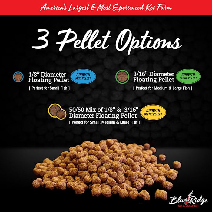 Blue Ridge: peces en estanque disfrutan pellets de digestión fácil