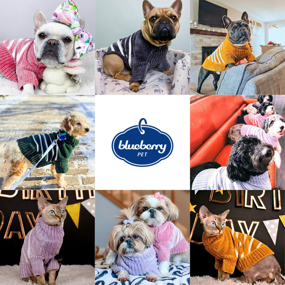 Blueberry Pet ajuste para perros pequeños espalda 10" pecho 14-16"